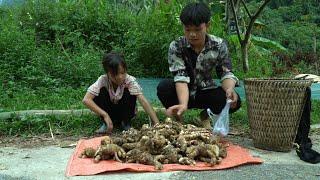 The poor boy and his sister dug up the floor to build a kitchen, dug up turmeric to sell