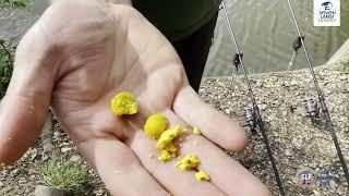 NEW SLF bait - Yellow Scopex Squid 15mm