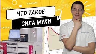 Что такое сила муки?