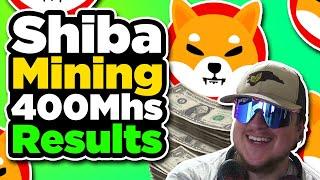 Mining Shiba for 24hrs Results
