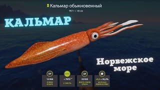 #1 Русская рыбалка 4. Норвежское море: Кальмар