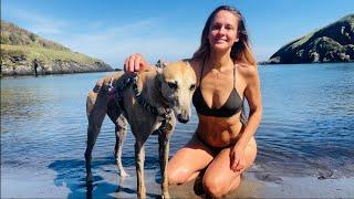 Sea, Swimming and Sun ️ A Perfect Spring Adventure with a Greyhound