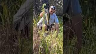 #fishing