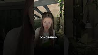 Напишите в комментариях, что вы думаете об этом?! #комнатныерастения #фитодизайн #озеленение