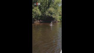 Gotta Love Floating the River #shorts