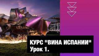 Курс "Вина Испании". Урок 1. Испания – самая трендовая страна старого света