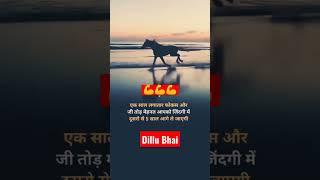 #motivation #jaipur #reels #shortvideo #video dillu Bhai official