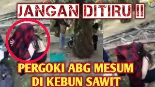 MIRIS..!! KELAKUAN ABG JAMAN NOW MESUM DI KEBUN SAWIT