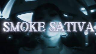 Weez - Smoke Sativa (official Lyrics Video)