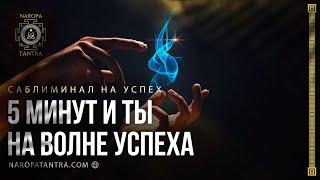 Саблиминал - 5 минут и ты на волне успеха!  Розин Михаил | Школа Философия Чувств