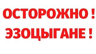 Как ЖЕНСКИЕ ПРАКТИКИ уводят от истинных знаний