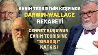 Evrim Teorisi'nin Keşfinde Darwin-Wallace Rekabeti