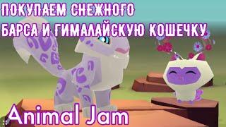 Покупаем нового Снежного Барса и питомца Гималайской кошечки/Animal Jam