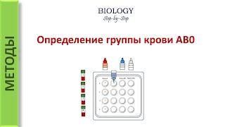 Методы. Определение группы крови AB0 (ABO)