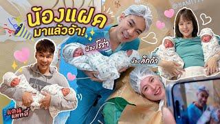 Exclusive! น้องลิกก้า&น้องโรร่า มาแล้ว!! [cc] แดนแพทตี้ SS2 | EP.48 |