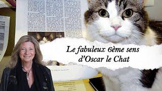 Le fabuleux 6ème sens d'Oscar le Chat....