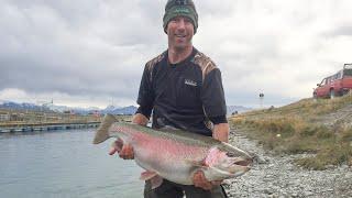 Giant Trout - Over 30lb