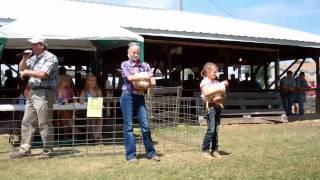 146th Lodi Agricultural Fair July 7-10, 2011 | Local Events | Wendy Soucie