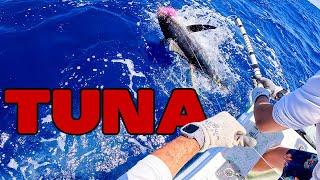 Epic 200 Boat - Giant Tuna Fishing Tournament in Hawaii