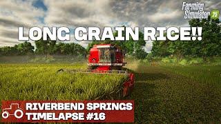 HARVESTING LONG GRAIN RICE!! Riverbend Springs FS25 Timelapse Farming Simulator 25 Ep 16