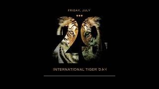 International Tiger Day