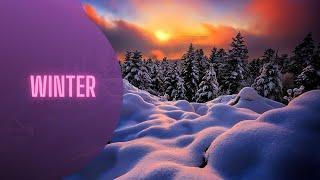 Winter/Музыка души/Мелодия чувств/Litvinov Max