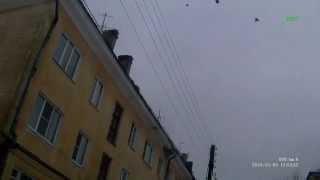 Crow hunting Кроухантинг сезон охоты 2015 открыт.