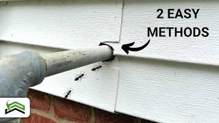 How To Seal Gaps And Holes In Siding | Keep Bugs and Cold Out!