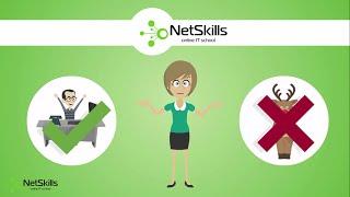 NetSkills