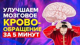 Как восстановить мозговое кровообращение за 5 мин