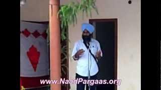 Introduction to Saranda (ਸਰੰਦਾ) by Prof Jagdish Singh
