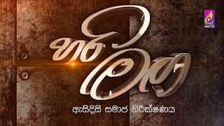  හරි මඟ || Hari Maga || 2024 -10 - 24