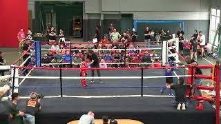 MUAYTHAI VICTORIA 9: ANDRE DIMKOVSKI VS ROMAN GELSI