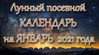 Лунный календарь садовода огородника на январь 2021 года