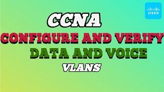 CCNA 200-301 - Configure and Verify Data and Voice VLANs