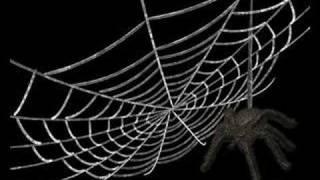 spun a web