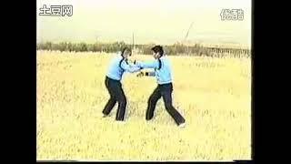 Che Style Xingyiquan paired routines - Yang Jisheng