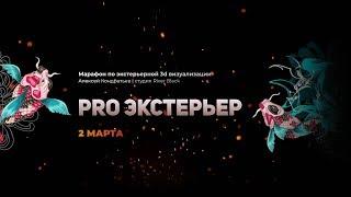 Марафон Pro Экстерьер день 1