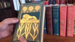 Travel collection x 8 old books c.1900 w/ 190 photogravure plates decorative