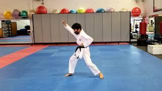 Sai Jutsu Kihon Kata Ni