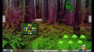 Anole Lizard Forest Escape walkthrough Games2Rule G2R.