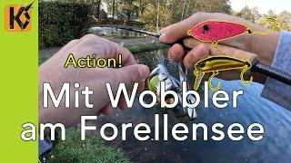 Mit Wobbler am Forellensee - Forellenangeln im Angelpark Heioord in Holland - TroutArea Angeln