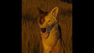 Wolf Gameplay Cenozoic Survival Roblox (Piebald)