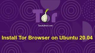 Installing Tor Browser in Kali Linux: A Step-by-Step Guide