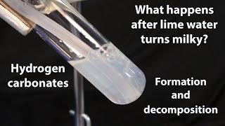 After lime water turns milky: hydrogen carbonates (bicarbonates), formation and decomposition HCO3 -