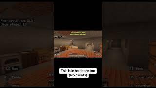 HOW IS THIS POSSIBLE?! #minecraft #glitch #mojang #mc #narly #gamer #invisible #hardcore #fypviralシ