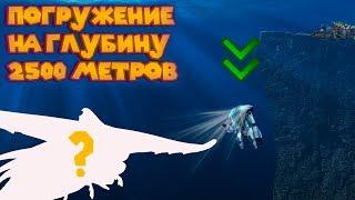 УПАЛ НА ДНО 2500 МЕТРОВ И БЫЛ СЪЕДЕН  Subnautica