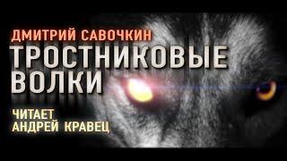 Аудиокнига. Д.Савочкин "Тростниковые волки". Читает Андрей Кравец