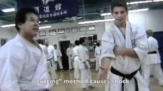 Jundokan Instructors Kinjo & Gima Sensei's