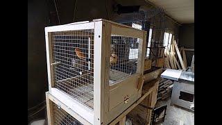 jak zrobić klatkę dla kanarków,krok po kroku,how to make a canary cage, step by step #cage #parrot